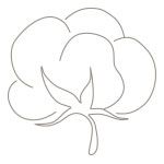 organic cotton