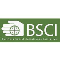 BSCI Logo